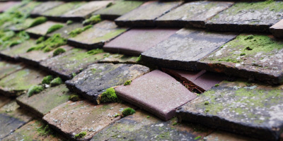Burghfield roof repair costs